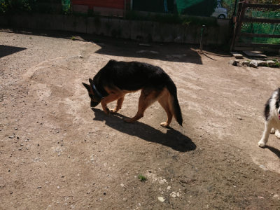 f:id:roukenhome-ann:20190418130147j:plain
