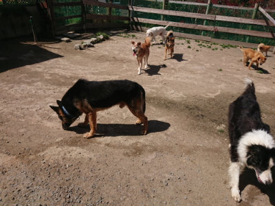 f:id:roukenhome-ann:20190418130150j:plain