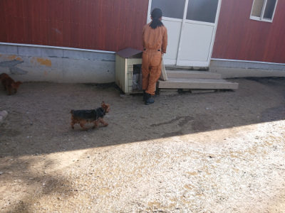 f:id:roukenhome-ann:20190418130155j:plain