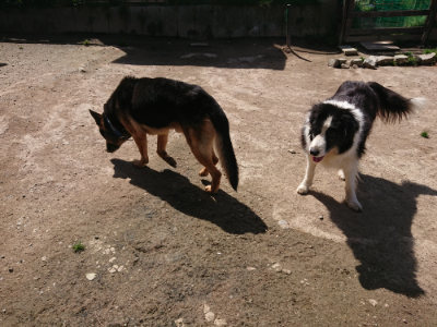 f:id:roukenhome-ann:20190418130210j:plain