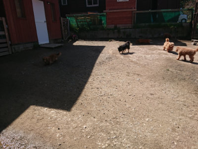 f:id:roukenhome-ann:20190418130214j:plain