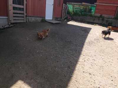 f:id:roukenhome-ann:20190418130220j:plain