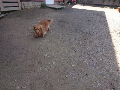 f:id:roukenhome-ann:20190418130225j:plain