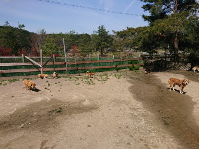 f:id:roukenhome-ann:20190418130231j:plain