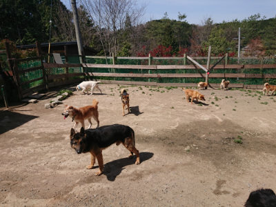 f:id:roukenhome-ann:20190418130241j:plain