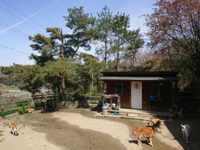 f:id:roukenhome-ann:20190418130247j:plain