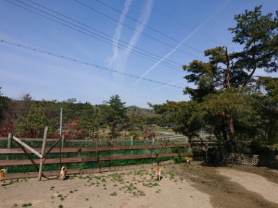 f:id:roukenhome-ann:20190418130252j:plain