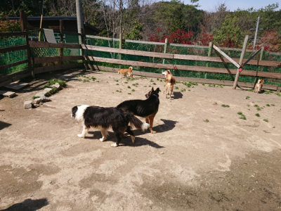 f:id:roukenhome-ann:20190418130308j:plain