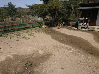 f:id:roukenhome-ann:20190418130314j:plain