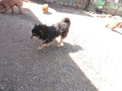 f:id:roukenhome-ann:20190418130318j:plain
