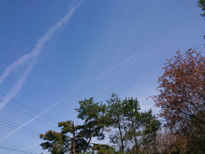 f:id:roukenhome-ann:20190418130328j:plain