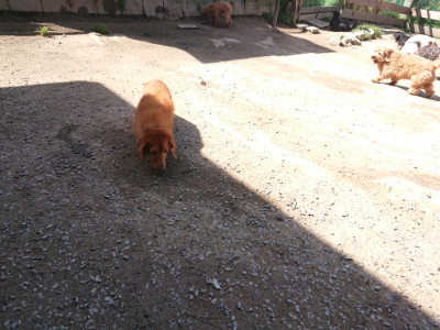 f:id:roukenhome-ann:20190418130350j:plain