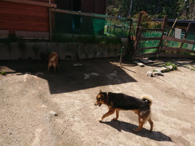 f:id:roukenhome-ann:20190418130355j:plain