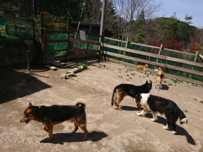 f:id:roukenhome-ann:20190418130418j:plain