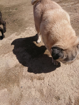 f:id:roukenhome-ann:20190418130612j:plain