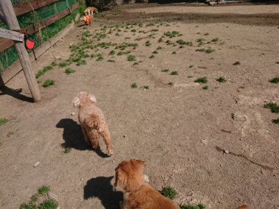 f:id:roukenhome-ann:20190418130621j:plain