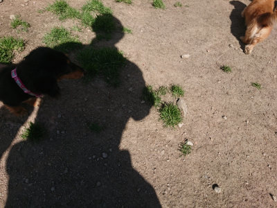 f:id:roukenhome-ann:20190418130626j:plain