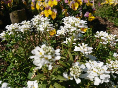 f:id:roukenhome-ann:20190418130651j:plain