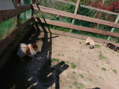 f:id:roukenhome-ann:20190418130701j:plain