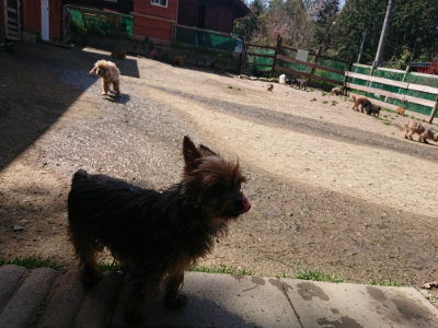 f:id:roukenhome-ann:20190418130706j:plain