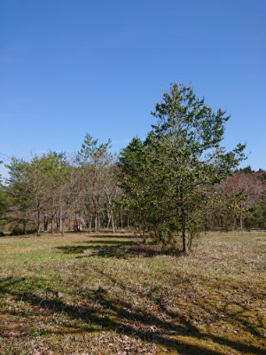 f:id:roukenhome-ann:20190418130737j:plain