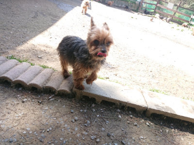 f:id:roukenhome-ann:20190418130749j:plain