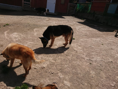 f:id:roukenhome-ann:20190418130754j:plain