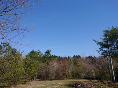 f:id:roukenhome-ann:20190418130758j:plain