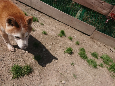 f:id:roukenhome-ann:20190418130841j:plain