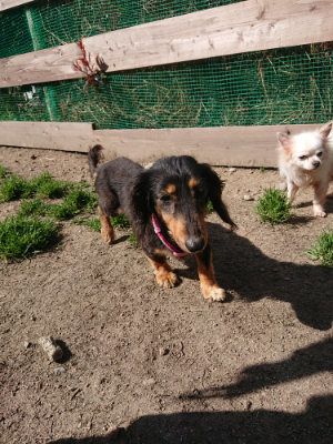 f:id:roukenhome-ann:20190418130855j:plain