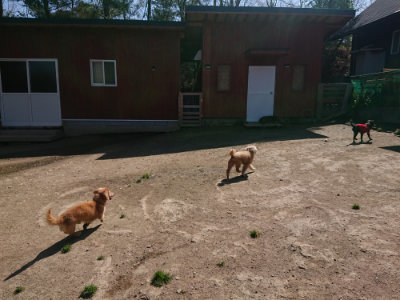 f:id:roukenhome-ann:20190418130859j:plain