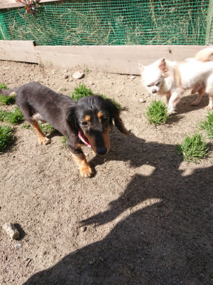 f:id:roukenhome-ann:20190418130913j:plain