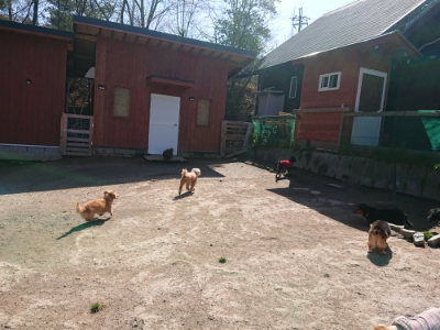 f:id:roukenhome-ann:20190418130932j:plain