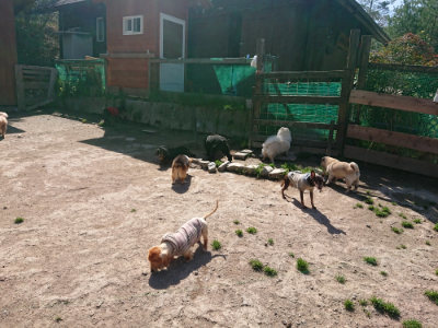 f:id:roukenhome-ann:20190418130938j:plain