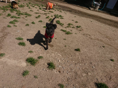 f:id:roukenhome-ann:20190418130942j:plain