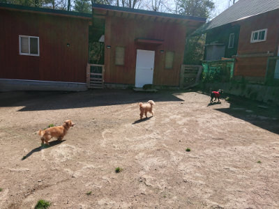 f:id:roukenhome-ann:20190418130947j:plain