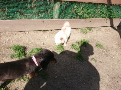 f:id:roukenhome-ann:20190418131001j:plain