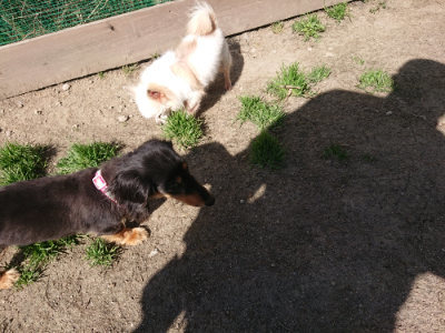 f:id:roukenhome-ann:20190418131006j:plain