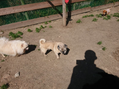 f:id:roukenhome-ann:20190418131033j:plain