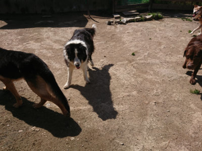 f:id:roukenhome-ann:20190418131047j:plain