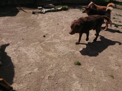 f:id:roukenhome-ann:20190418131059j:plain
