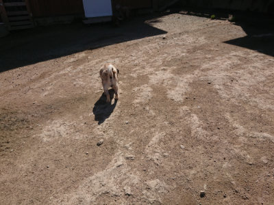 f:id:roukenhome-ann:20190418131108j:plain