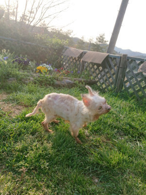 f:id:roukenhome-ann:20190418183923j:plain