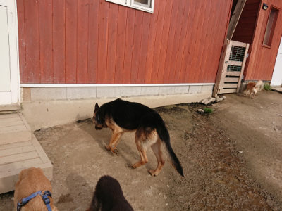 f:id:roukenhome-ann:20190419183051j:plain