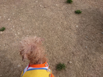 f:id:roukenhome-ann:20190419183118j:plain