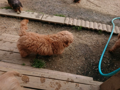 f:id:roukenhome-ann:20190419183129j:plain