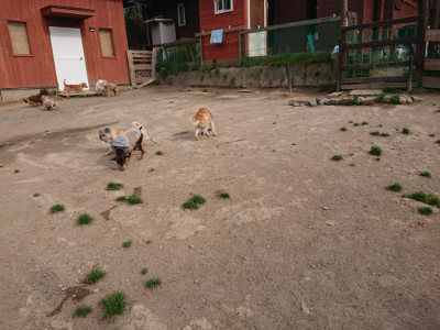 f:id:roukenhome-ann:20190419183135j:plain