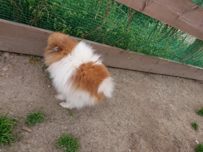 f:id:roukenhome-ann:20190419183147j:plain