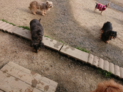 f:id:roukenhome-ann:20190419183157j:plain