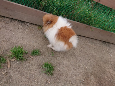 f:id:roukenhome-ann:20190419183211j:plain